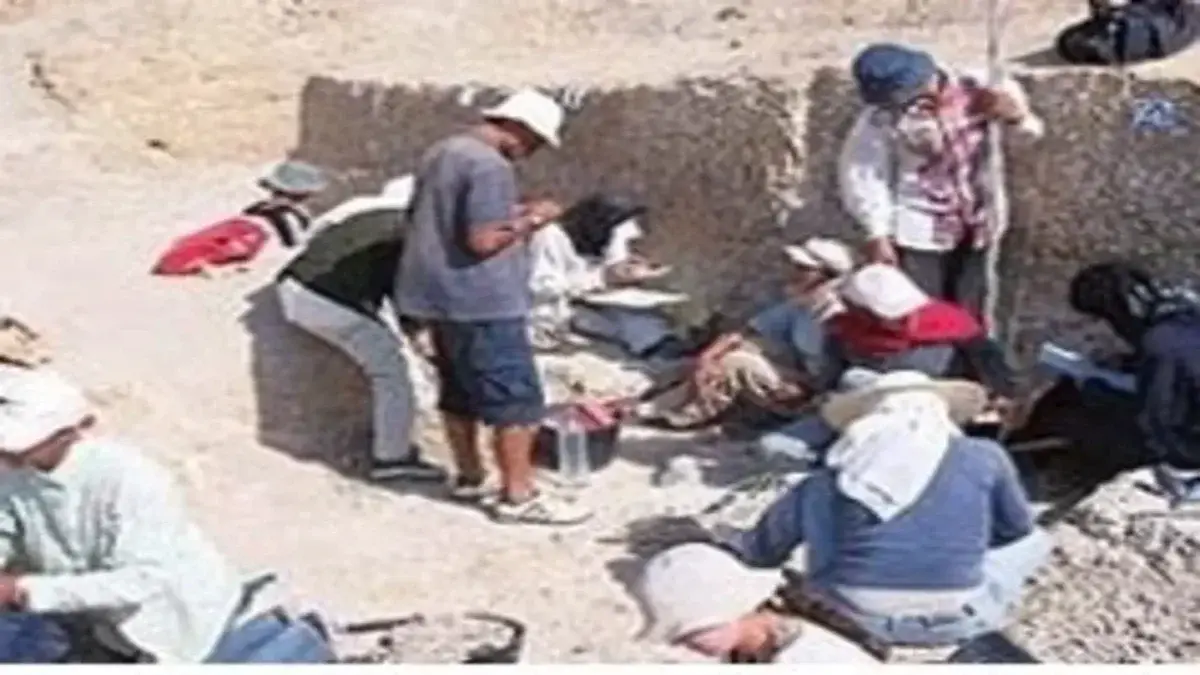 Read more about the article اصل الإنسان: هل يحل القرآن معضلات العلم؟